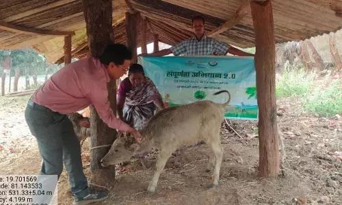 संपूर्णता अभियान 2.0 के तहत नारायणपुर में मनाया गया पशु टीकाकरण दिवस संपूर्णता अभियान 2.0 के तहत नारायणपुर में मनाया गया पशु टीकाकरण दिवस