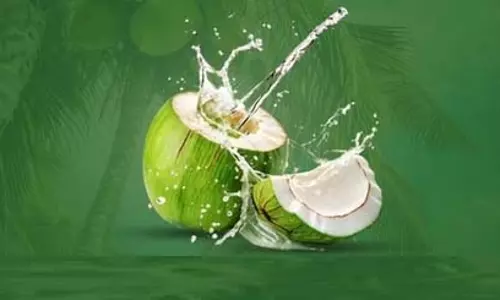 गर्मियों में अमृत समान नारियल पानी, शरीर को प्राकृतिक रूप से रखे हाइड्रेट