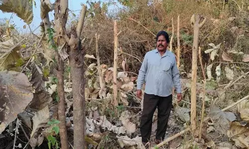 जंगल की आग पर्यावरण के लिए खतरा है: Praveen Nayak जंगल की आग पर्यावरण के लिए खतरा है: Praveen Nayak