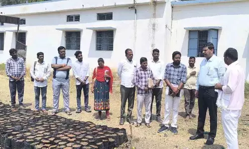 Nirmal के अतिरिक्त कलेक्टर ने अधिकारियों से प्रगति पालना के बारे में सवाल पूछे Nirmal के अतिरिक्त कलेक्टर ने अधिकारियों से प्रगति पालना के बारे में सवाल पूछे