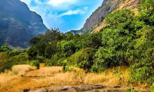 2 साल के बच्चे की जन्मदिन के अगले ही दिन सड़क दुर्घटना में मौत
