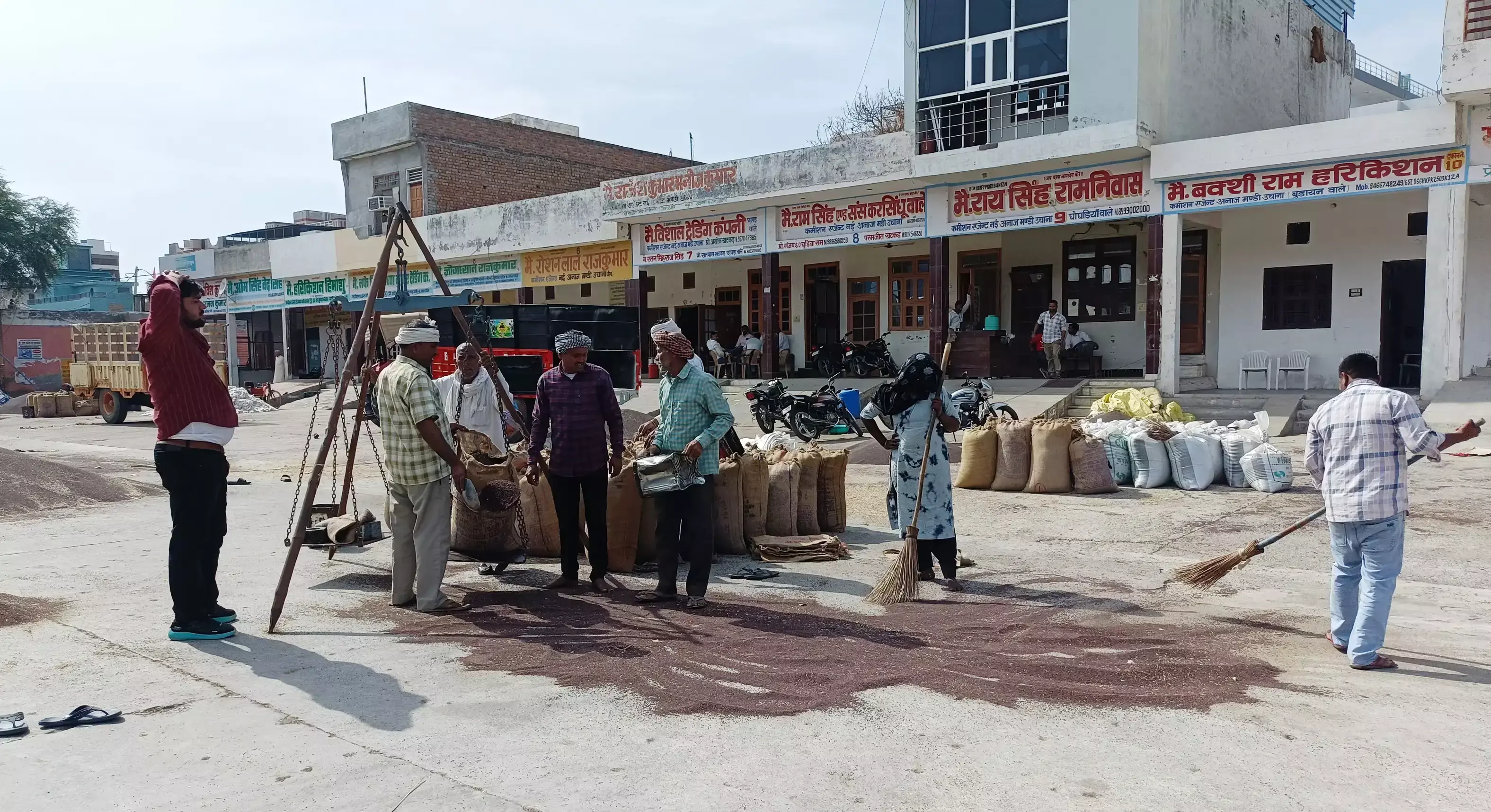 Jind: एमएसपी से अधिक कीमत मिली सरसों को Jind: एमएसपी से अधिक कीमत मिली सरसों को