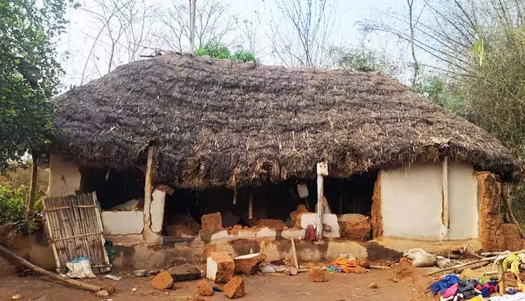 Jaleshwar में एक बेकाबू हाथी द्वारा घर की दीवार गिराए जाने से दो साल के बच्चे की मौत Jaleshwar में एक बेकाबू हाथी द्वारा घर की दीवार गिराए जाने से दो साल के बच्चे की मौत