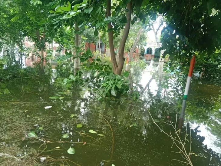 Bhiwani: जलभराव से किसानों को भारी नुकसान, ढाणी का रास्ता 8 महीने से बंद Bhiwani: जलभराव से किसानों को भारी नुकसान, ढाणी का रास्ता 8 महीने से बंद