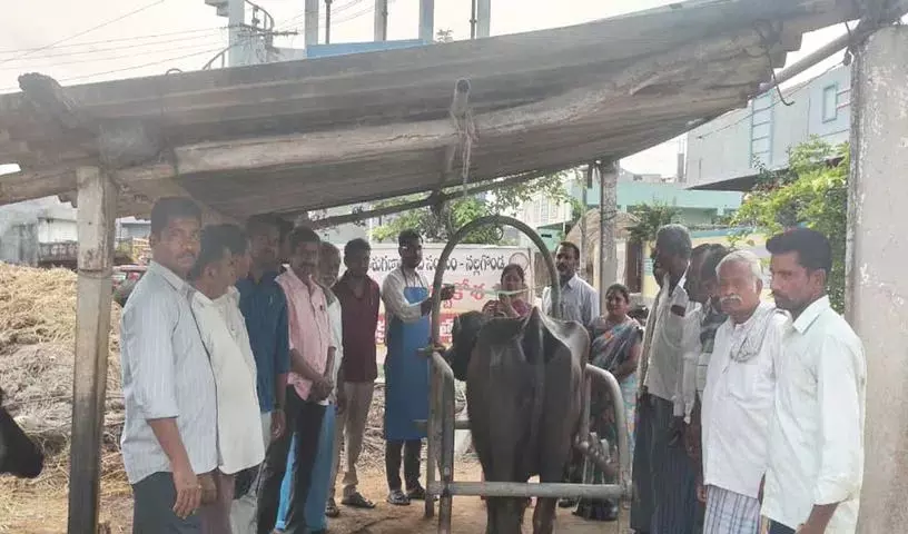 पशुओं का टीकाकरण समय पर होना चाहिए: Sarpanch Nilabai पशुओं का टीकाकरण समय पर होना चाहिए: Sarpanch Nilabai
