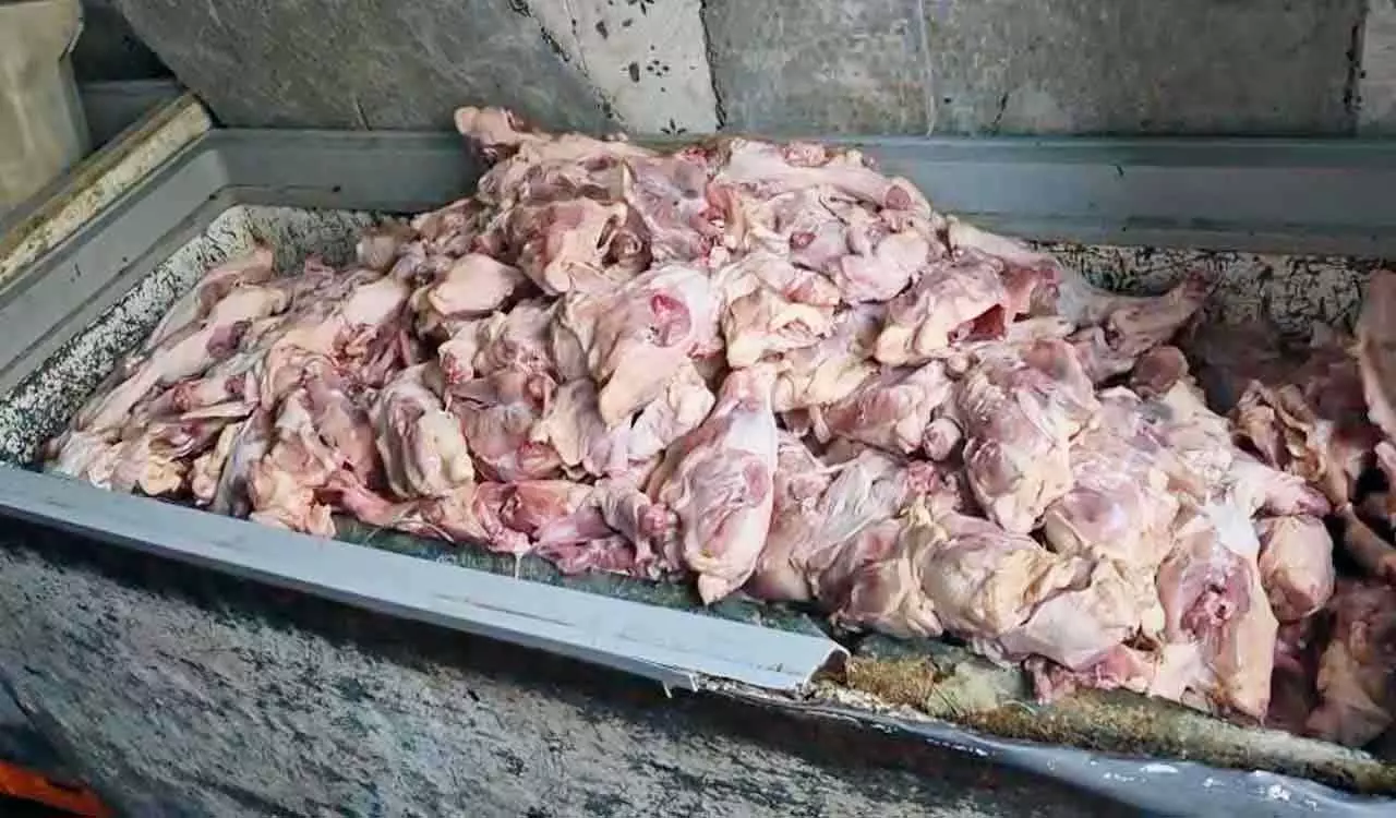 पारसीगुट्टा में GHMC का छापा, दुकान से 800 किलो बासी चिकन ज़ब्त पारसीगुट्टा में GHMC का छापा, दुकान से 800 किलो बासी चिकन ज़ब्त