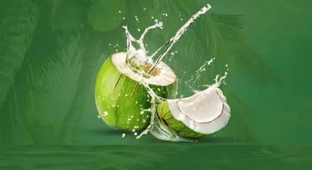 गर्मियों में अमृत समान नारियल पानी, शरीर को प्राकृतिक रूप से रखे हाइड्रेट गर्मियों में अमृत समान नारियल पानी, शरीर को प्राकृतिक रूप से रखे हाइड्रेट