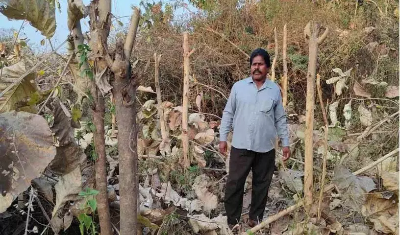 जंगल की आग पर्यावरण के लिए खतरा है: Praveen Nayak जंगल की आग पर्यावरण के लिए खतरा है: Praveen Nayak