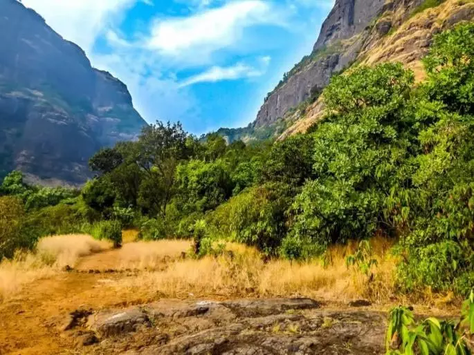2 साल के बच्चे की जन्मदिन के अगले ही दिन सड़क दुर्घटना में मौत 2 साल के बच्चे की जन्मदिन के अगले ही दिन सड़क दुर्घटना में मौत