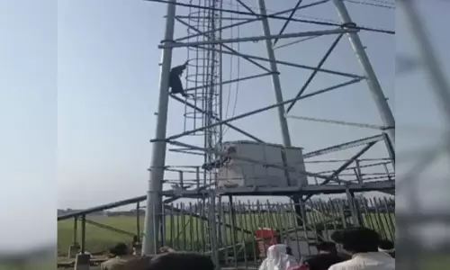 बेइंतहा मोहब्बत में पड़ी लड़की मोबाइल टावर में चढ़ गई, शादीशुदा प्रेमी के साथ रहने की जिद बेइंतहा मोहब्बत में पड़ी लड़की मोबाइल टावर में चढ़ गई, शादीशुदा प्रेमी के साथ रहने की जिद