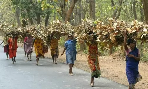 Panel ने सरकार से तेलंगाना में दलितों और आदिवासियों के खिलाफ अत्याचारों पर कार्रवाई करने का किया आग्रह Panel ने सरकार से तेलंगाना में दलितों और आदिवासियों के खिलाफ अत्याचारों पर कार्रवाई करने का किया आग्रह