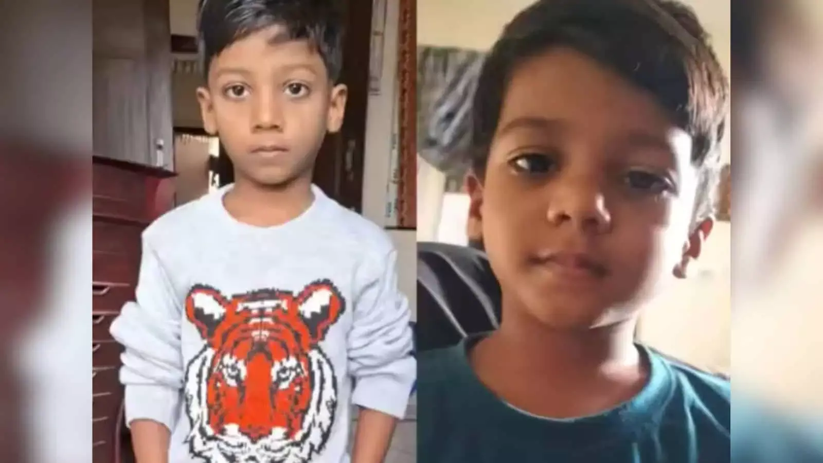 Hyderabad: 15 महीने बाद, तेलंगाना में कुत्ते के काटने से 8 साल के बच्चे की मौत