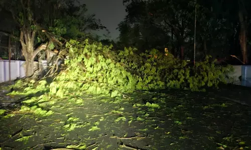 Rourkela में तूफ़ान ने मचाया कहर; तेज़ हवाओं से उखड़ गए पेड़, बिजली आपूर्ति बाधित Rourkela में तूफ़ान ने मचाया कहर; तेज़ हवाओं से उखड़ गए पेड़, बिजली आपूर्ति बाधित