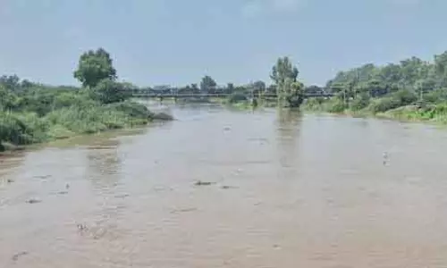 पैनल ने Punjab सरकार से हरियाणा के घग्गर बांधों का विरोध करने को कहा पैनल ने Punjab सरकार से हरियाणा के घग्गर बांधों का विरोध करने को कहा