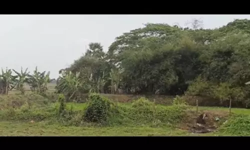 Odisha: केंद्रपाड़ा ज़िले में स्थित कुशुनुपुर को CSIR की पहल के तहत स्मार्ट गाँव के रूप में चुना गया है