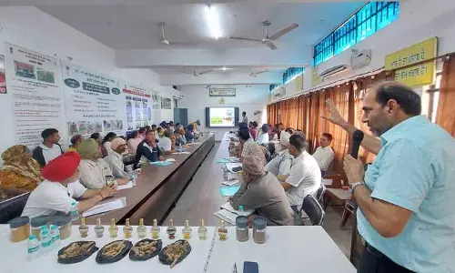 PAU कृषि विज्ञान केंद्र विविधीकरण के लिए किसानों को मसाला फसलों की खेती का प्रशिक्षण देता है PAU कृषि विज्ञान केंद्र विविधीकरण के लिए किसानों को मसाला फसलों की खेती का प्रशिक्षण देता है