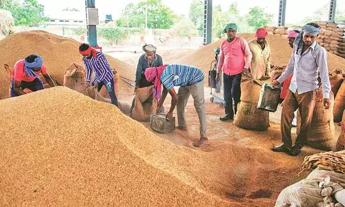 72.09 लाख मीट्रिक टन धान की खरीद ओडिशा में खरीफ 2025-26 के दौरान हुई: Minister 72.09 लाख मीट्रिक टन धान की खरीद ओडिशा में खरीफ 2025-26 के दौरान हुई: Minister