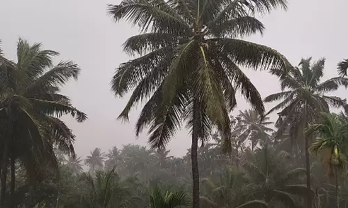 Doddaballapura : मॉनसून से पहले की पहली बारिश 20 मिनट तक हुई Doddaballapura : मॉनसून से पहले की पहली बारिश 20 मिनट तक हुई
