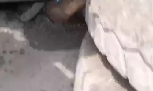 3 की मौत, कोरबा में तेज रफ्तार ट्रक का कहर, रौंदा 3 की मौत, कोरबा में तेज रफ्तार ट्रक का कहर, रौंदा