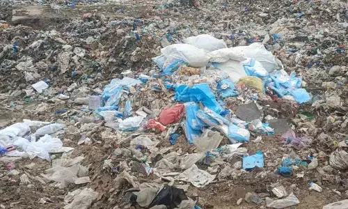 Medak Dumpyard में बड़ी संख्या में कंडोम के पैकेट मिले Medak Dumpyard में बड़ी संख्या में कंडोम के पैकेट मिले