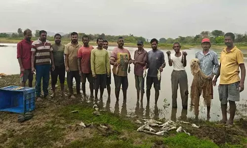 सूखे तालाब में मछलियों के मरने से मछुआरों की रोजी-रोटी छिन गई सूखे तालाब में मछलियों के मरने से मछुआरों की रोजी-रोटी छिन गई