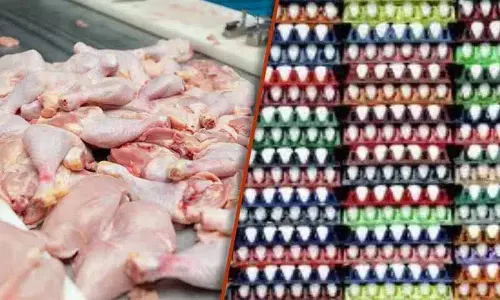 पश्चिम एशिया संकट के बीच Telangana में अंडों की कीमतें गिरीं, चिकन के दाम बढ़े