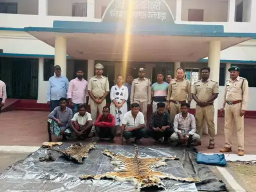 6 शिकारी गिरफ्तार, दंतेवाड़ा जंगल में बाघ-तेंदुए का करते थे शिकार 6 शिकारी गिरफ्तार, दंतेवाड़ा जंगल में बाघ-तेंदुए का करते थे शिकार