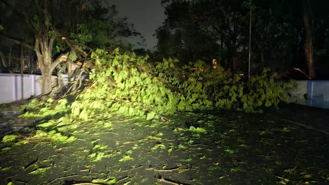 Rourkela में तूफ़ान ने मचाया कहर; तेज़ हवाओं से उखड़ गए पेड़, बिजली आपूर्ति बाधित Rourkela में तूफ़ान ने मचाया कहर; तेज़ हवाओं से उखड़ गए पेड़, बिजली आपूर्ति बाधित