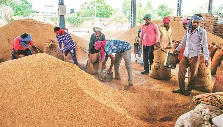 72.09 लाख मीट्रिक टन धान की खरीद ओडिशा में खरीफ 2025-26 के दौरान हुई: Minister 72.09 लाख मीट्रिक टन धान की खरीद ओडिशा में खरीफ 2025-26 के दौरान हुई: Minister