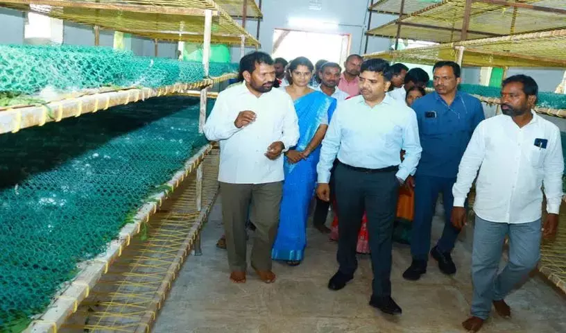 रेशम कीट पालन से किसानों को लाभ: Collector Chandrashekhar रेशम कीट पालन से किसानों को लाभ: Collector Chandrashekhar