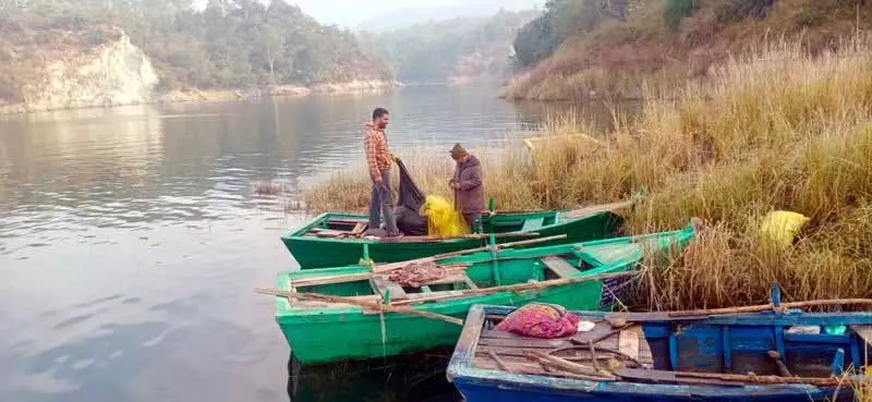 गाद जमा होने के कारण Pong Lake में मछली उत्पादन में भारी गिरावट आई गाद जमा होने के कारण Pong Lake में मछली उत्पादन में भारी गिरावट आई