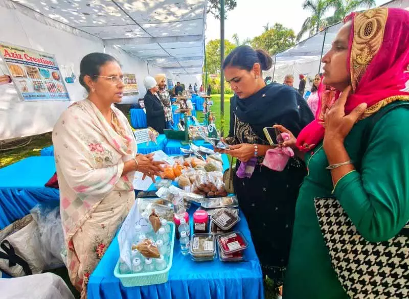 Ludhiana: पाखोवाल की महिला ने प्राकृतिक खेती की क्रांति का नेतृत्व किया, Ludhiana: पाखोवाल की महिला ने प्राकृतिक खेती की क्रांति का नेतृत्व किया,