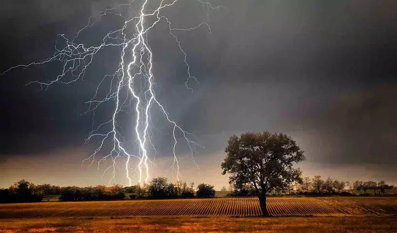 AP में बेमौसम बारिश, बिजली गिरने से एक की मौत AP में बेमौसम बारिश, बिजली गिरने से एक की मौत