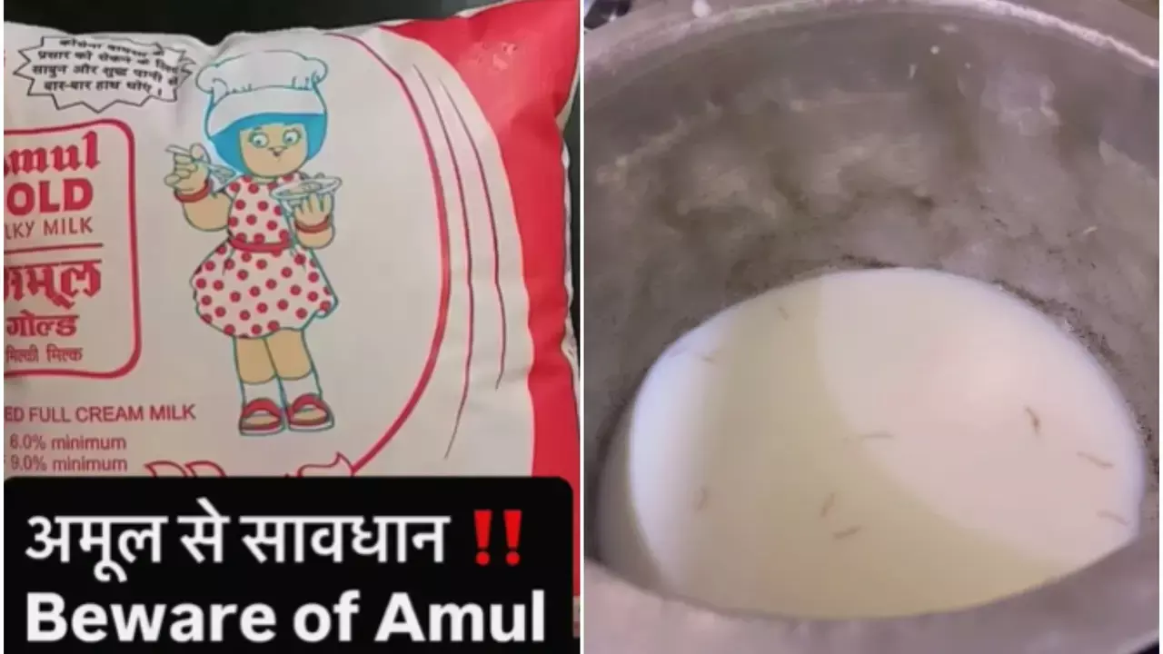 क्या अमूल दूध में मिले कीड़े? वायरल वीडियो पर कंपनी का आया जवाब