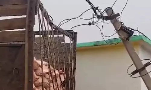 बिजली खंभे से टकराई ट्रक, गरियाबंद में हादसा