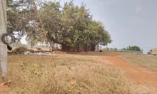 Jigani : अविकसित बॉटनिकल गार्डन, अतिक्रमण का खतरा Jigani : अविकसित बॉटनिकल गार्डन, अतिक्रमण का खतरा