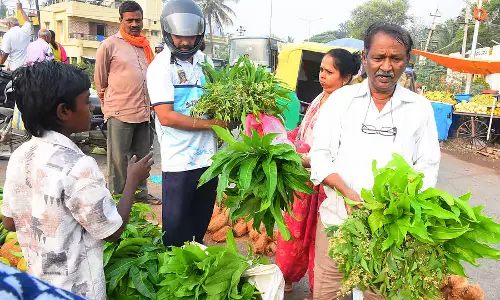 Tumkur ज़िले में हर जगह उगादी का जश्न: फूल और फलियाँ महँगी