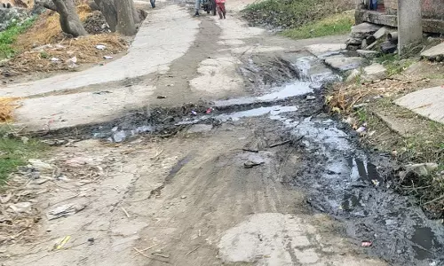 Nawabganj: मुख्य मार्ग पर जलभराव से ग्रामीण परेशान, सड़क सुधार की मांग तेज Nawabganj: मुख्य मार्ग पर जलभराव से ग्रामीण परेशान, सड़क सुधार की मांग तेज