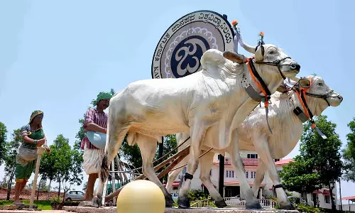Byadgi: मारिकम्बा मेला आज से