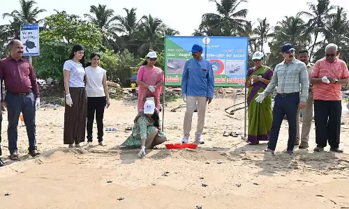 Karwar : 163 नन्हे समुद्री कछुए समुद्र में छोड़े गए Karwar : 163 नन्हे समुद्री कछुए समुद्र में छोड़े गए