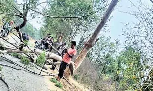 Kalampur में नॉर-वेस्टर के कहर से 1 की मौत, दूसरा घायल Kalampur में नॉर-वेस्टर के कहर से 1 की मौत, दूसरा घायल