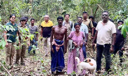 Wild Elephant Attack : बचने के लिए एक जोड़ा पेड़ों की चोटियों पर चढ़ा Wild Elephant Attack : बचने के लिए एक जोड़ा पेड़ों की चोटियों पर चढ़ा