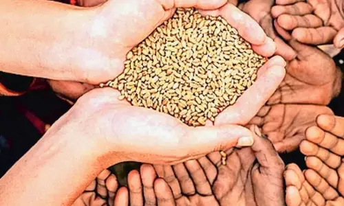 Chandigarh: खाद्य सुरक्षा में सरकार का कदम, केंद्र सरकार का बड़ा फैसला Chandigarh: खाद्य सुरक्षा में सरकार का कदम, केंद्र सरकार का बड़ा फैसला