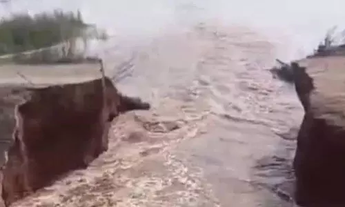 Dubbak के पास मल्लाना सागर नहर में दरार से धान के खेतों की सिंचाई आपूर्ति पर खतरा Dubbak के पास मल्लाना सागर नहर में दरार से धान के खेतों की सिंचाई आपूर्ति पर खतरा