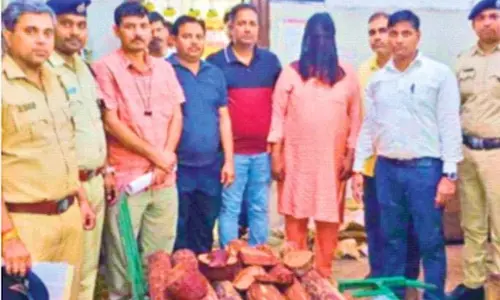 Forest Minister ने चंदन तस्करों को छोड़ने वाले अधिकारियों के खिलाफ जांच के आदेश दिए Forest Minister ने चंदन तस्करों को छोड़ने वाले अधिकारियों के खिलाफ जांच के आदेश दिए