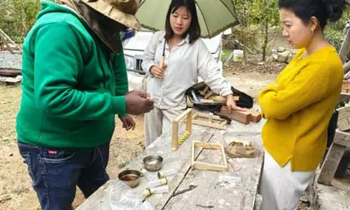 तमेंगलोंग में शहद उत्पादन बढ़ाने की पहल, 100 से अधिक किसानों को प्रशिक्षण तमेंगलोंग में शहद उत्पादन बढ़ाने की पहल, 100 से अधिक किसानों को प्रशिक्षण