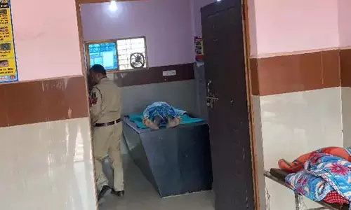 CG: मधुमक्खियों के हमले में बुजुर्ग की मौत, पत्नी और बेटे गंभीर रूप से घायल CG: मधुमक्खियों के हमले में बुजुर्ग की मौत, पत्नी और बेटे गंभीर रूप से घायल