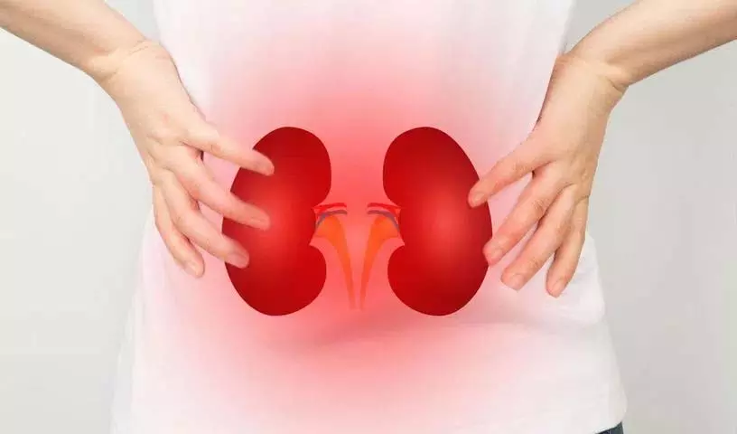 क्या आपको ये लक्षण दिखाई दे रहे हैं? अपनी kidney की जाँच करवाएँ! क्या आपको ये लक्षण दिखाई दे रहे हैं? अपनी kidney की जाँच करवाएँ!