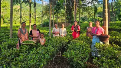 चाय बागानों में काम करने वाली महिलाएं असम चुनावों के केंद्र में होनी चाहिए: जानिए क्यों