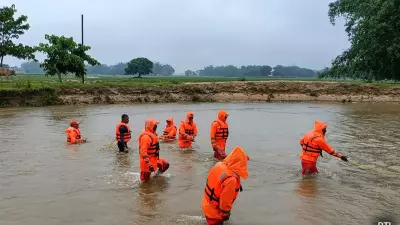 Assam: क्या परमाणु अनुसंधान से निकला कोई उत्पाद असम में बाढ़ के पानी को साफ़ कर सकता है? Assam: क्या परमाणु अनुसंधान से निकला कोई उत्पाद असम में बाढ़ के पानी को साफ़ कर सकता है?